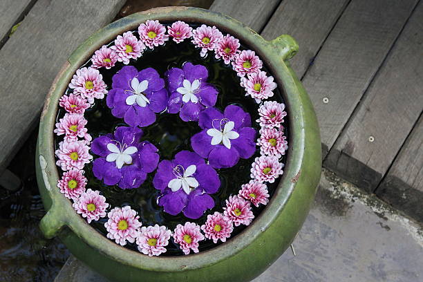 istock purple flower in water pot 462436251