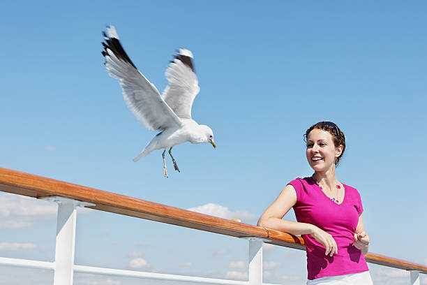 istock Smiling woman feeds seagulls with bread 462439509