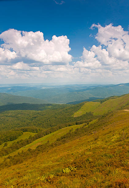 istock Polonina Carynska. Bieszczady Mountains. 462440229
