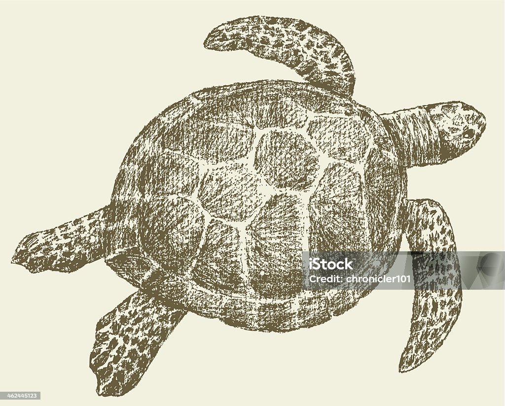 floating turtle Vector image of the floating sea turtle. Sea Turtle stock vector