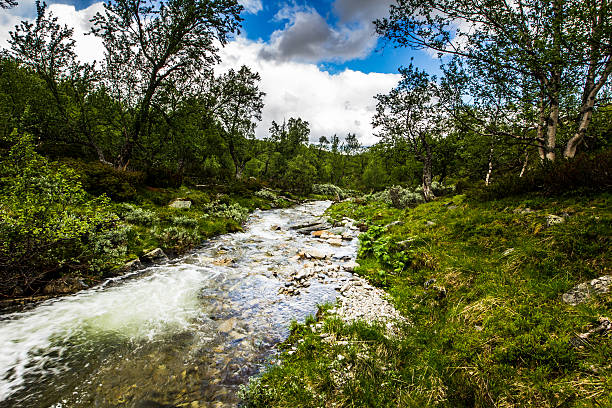 Rondane Norway small mountain river stock photo
