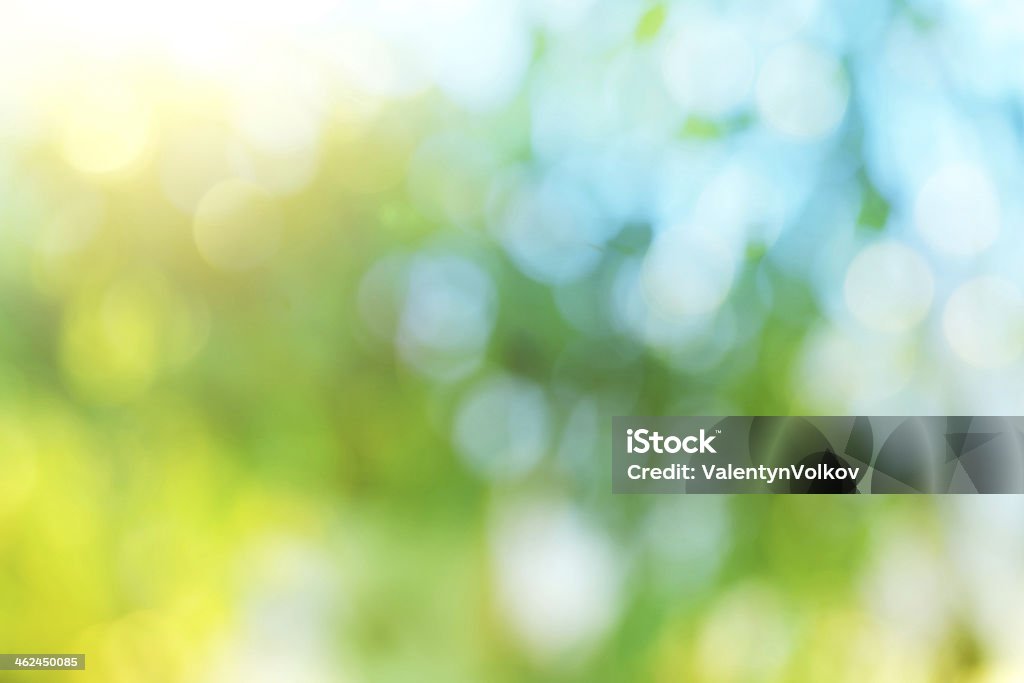 Background blur of nature in spring. Soft Focus Stock Photo