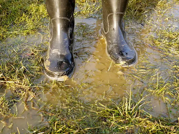 rubberboots in mud background
