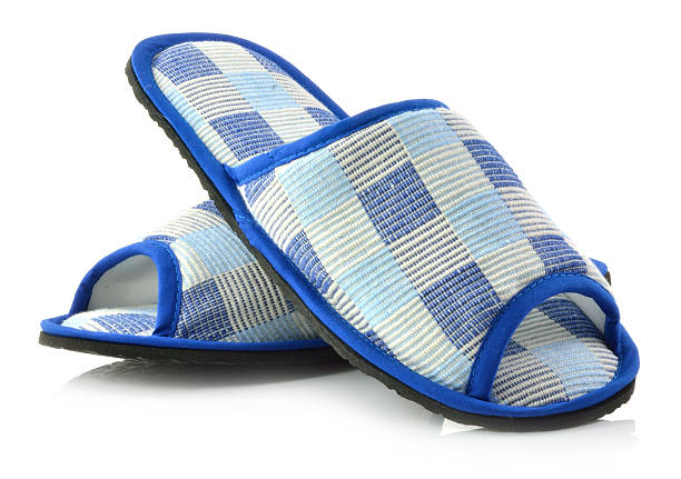 istock casual home slippers on white background 462454589
