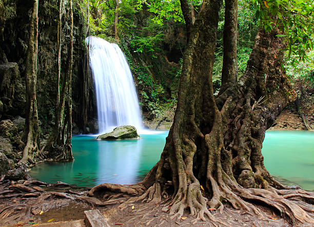 istock Beautiful Waterfall at Erawan National Park 462455135