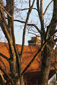 dach-und-baum-zweige.jpg?b=1&s=170x170&k=20&c=Df9OdkCz_3UF6QtTUZq0m9Zu0zJSaDXTDP8iiy2wIhY=
