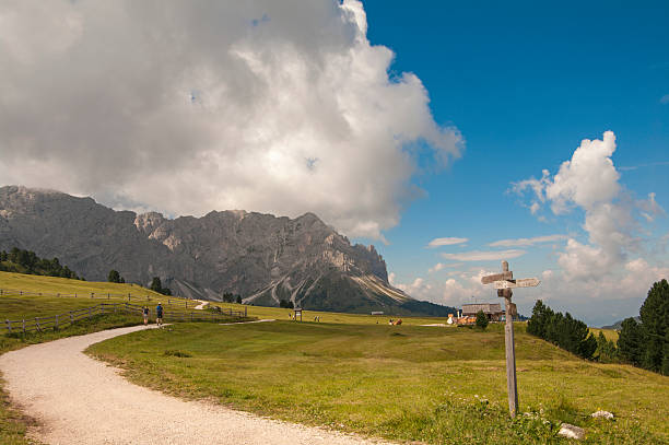 istock Alpine trail, South Tyrol, Italy 462456069