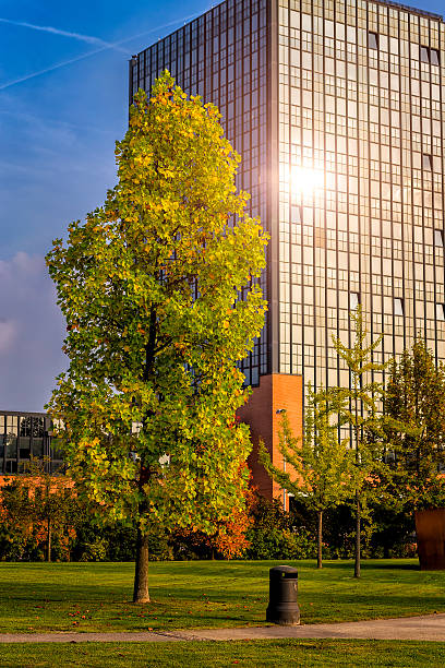 Detail of a city park in autumn
