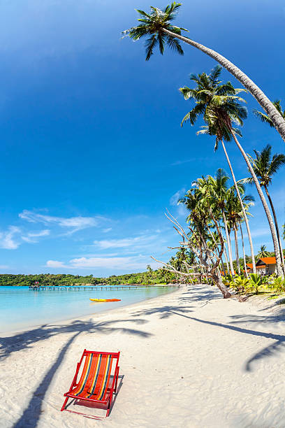 istock sun beach chair at the shore 462460483