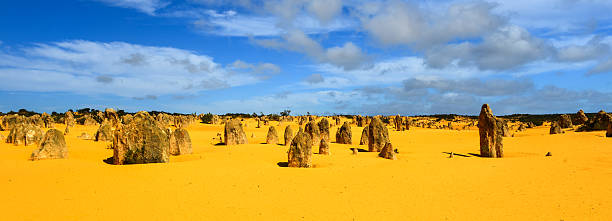 deserto dos pináculos, austrália - nambung national park imagens e fotografias de stock