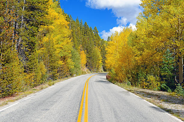 istock Autumn Foliage with Golden Yellow Aspen 462460649