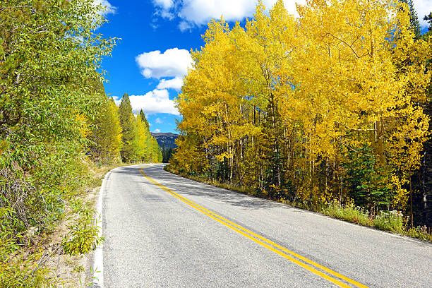 istock Autumn Foliage with Golden Yellow Aspen 462461233
