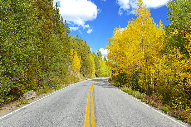 istock Autumn Foliage with Golden Yellow Aspen 462461265