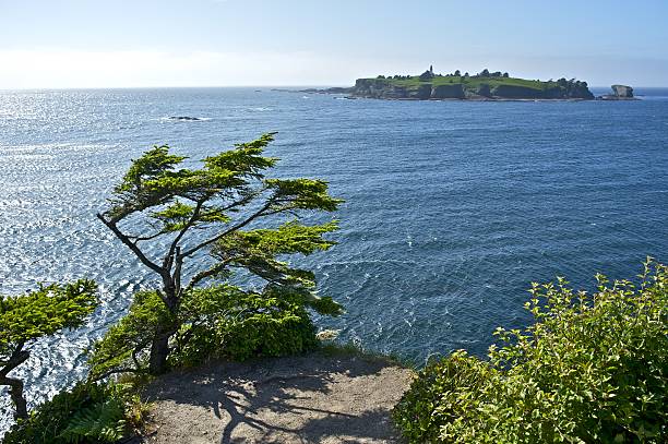 230+ Capo Flattery Foto stock, immagini e fotografie royaltyfree iStock