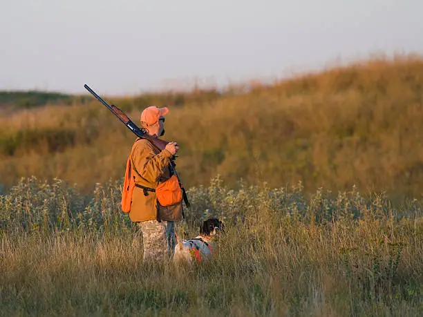 Photo of Hunter with his dog holding a rifle looking for prey