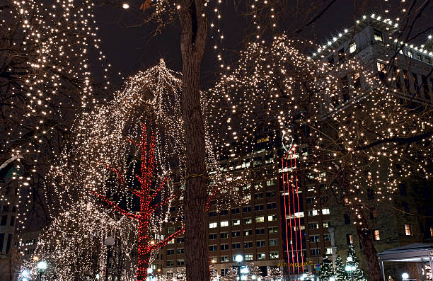 istock Rice Park Holiday Light Decoration 462466321