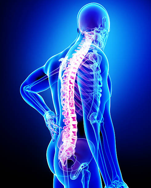 istock Anatomy of a man with back pain 462466461