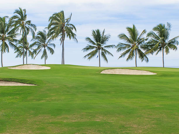 istock Palm trees on coastal golf course in Hawaii 462470193