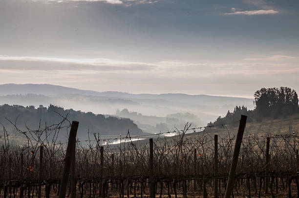 istock Morning fog in Chianti 462470217