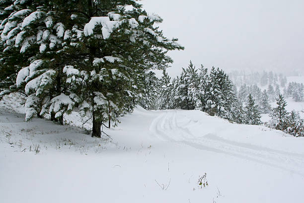 Neige couvert avec vue sur la montagne - Photo