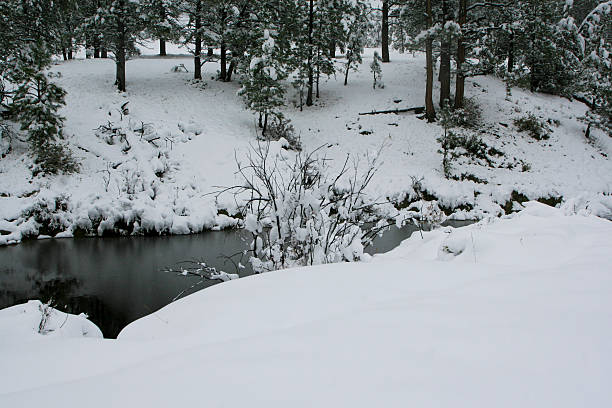 Ruisseau de montagne dans la neige - Photo