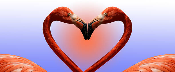 istock Postcard Valentine's Day with pink flamingos 462479333