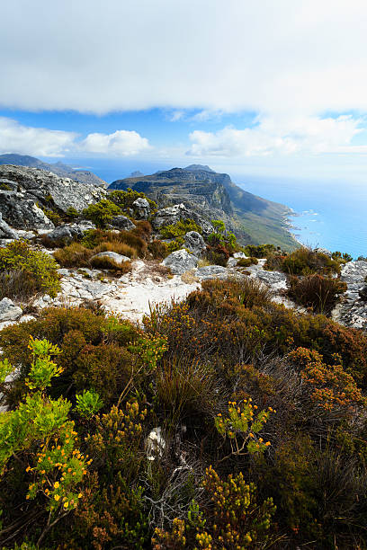 istock Rock and Landscape on Top of Table Mountain 462480489