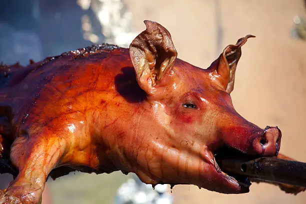 Photo of Food, meat, sucking pig