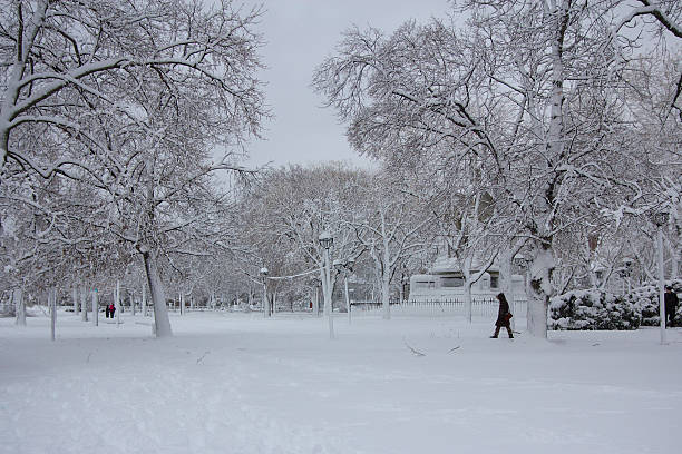 зима на кембридж общие - boston winter snow massachusetts стоковые фото и изображения