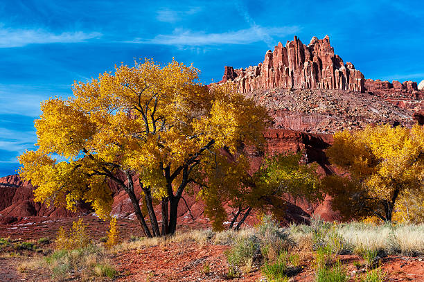 istock Autumn at the Castle 462482689