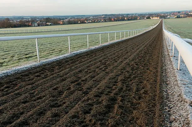 Racehorse training gallops at Newmarket, England.