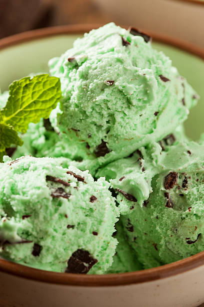istock Organic Green Mint Chocolate Chip Ice Cream 462490133