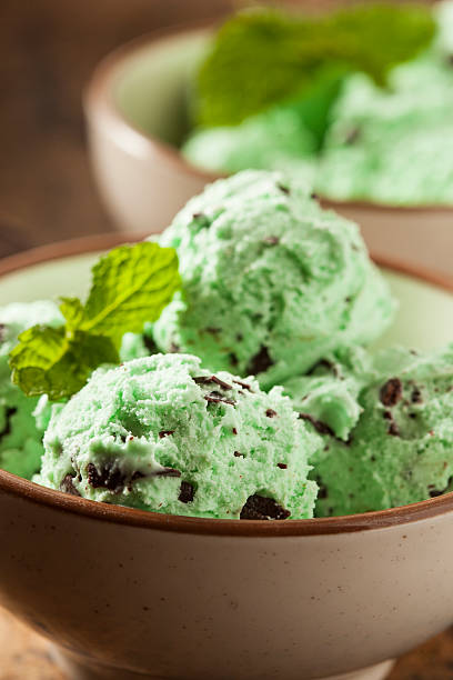 istock Organic Green Mint Chocolate Chip Ice Cream 462490147