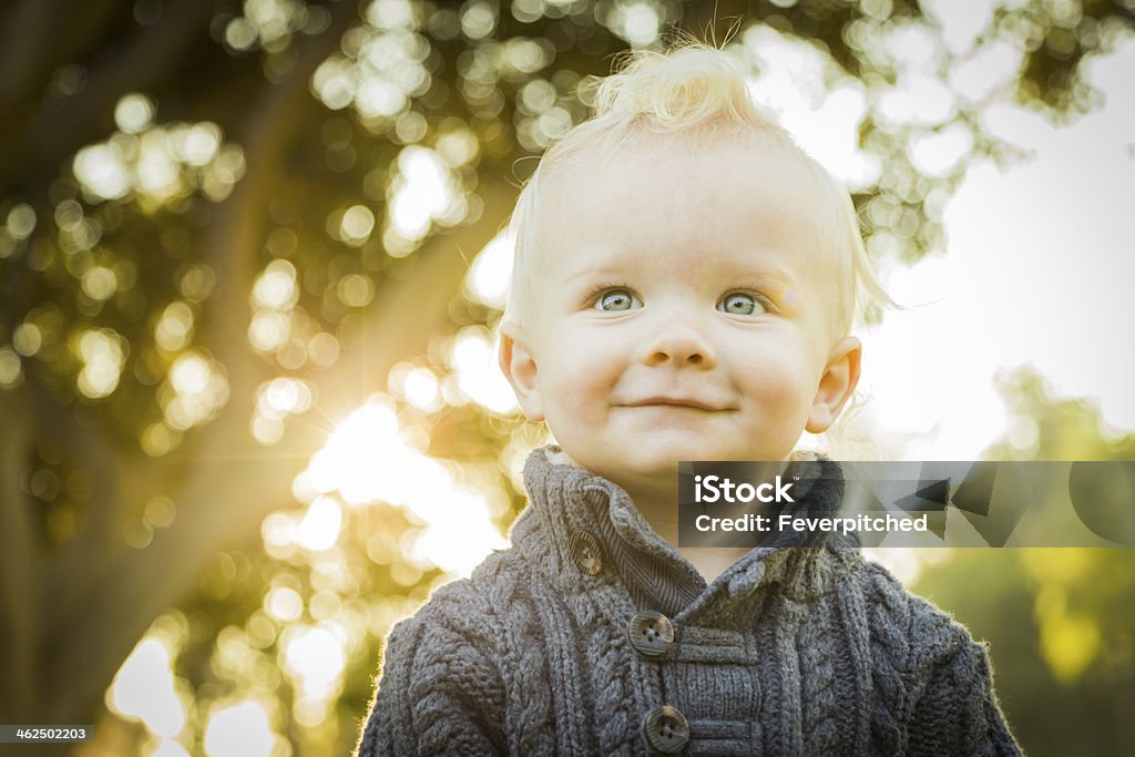 Adorable Blonde Baby Boy Outdoors at the Park Adorable Little Blonde Baby Boy Outdoors at the Park. Autumn Stock Photo