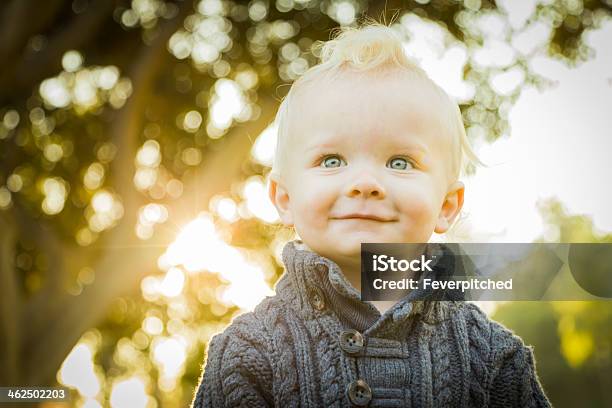 Adorable Blonde Baby Boy Outdoors At The Park Stock Photo - Download Image Now - Autumn, Baby - Human Age, Back Lit