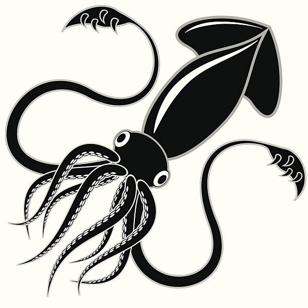 black squid Black and white vector illustration of a squid cerne abbas giant stock illustrations