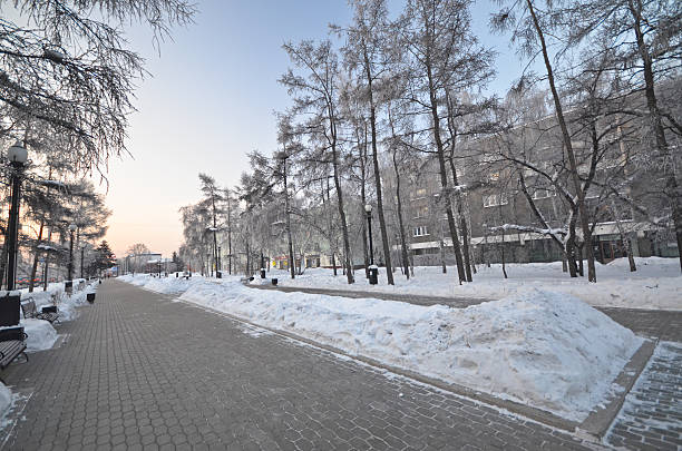 istock Snow-covered alley in a winter park 462504049