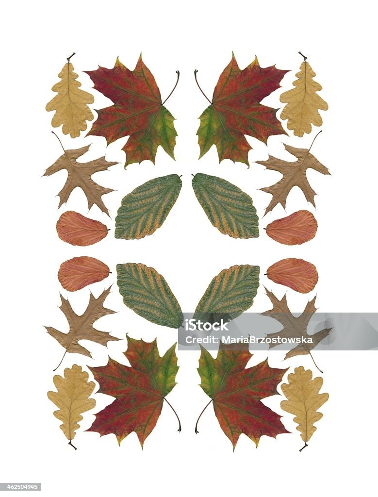 multicolor leaves as background Arrangement Stock Photo