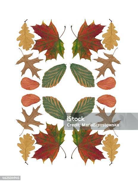 Multicolor Leaves As Background Stock Photo - Download Image Now - Arrangement, Backgrounds, Brown