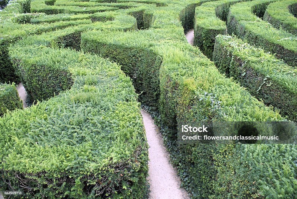 maze trees Abstract Stock Photo