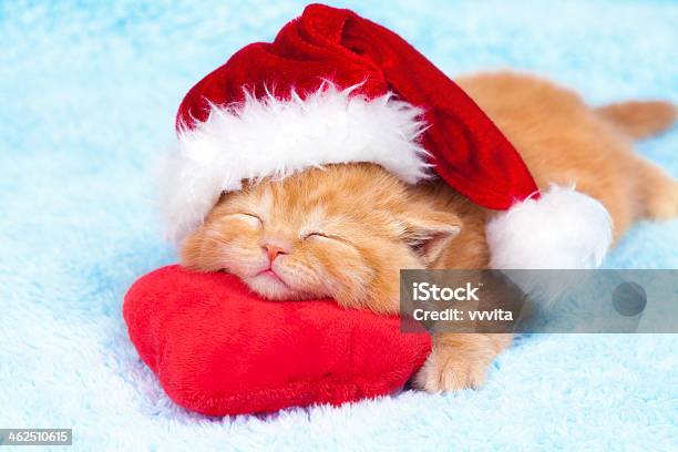 Litlte Kitten Wearing Santas Hat Slipping On The Heartshaped Pillow Stock Photo - Download Image Now