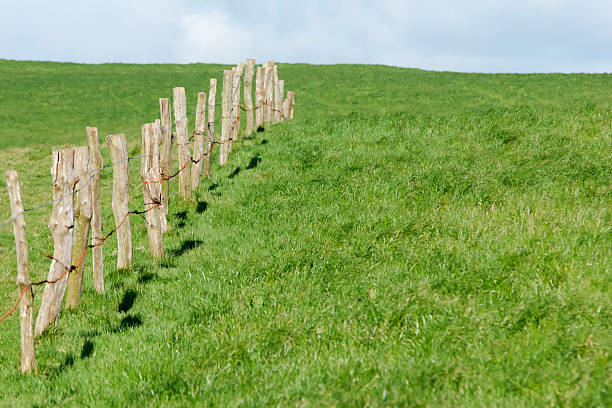 istock wooden fence 462510713