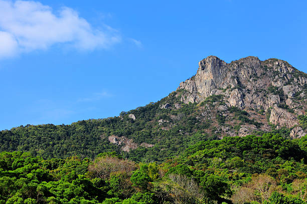 istock Lion rock mountain in Hong Kong 462513123