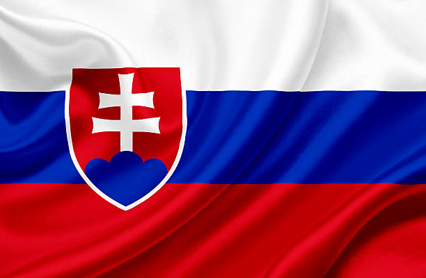 istock Slovakia waving flag 462518835
