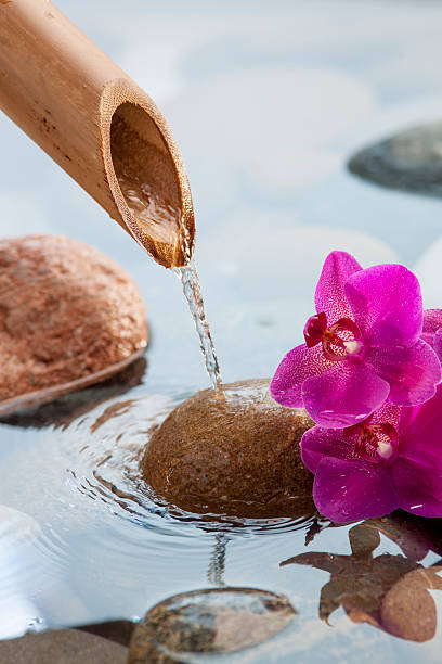 istock beauty and serenity for zen attitude 462525589