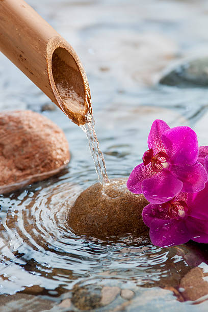 istock running water on stones next to beautiful flowers 462526763
