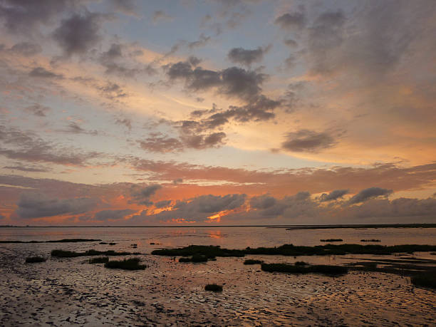istock Evening at the sea 462527467