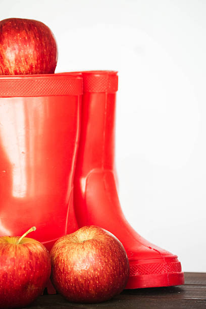 istock apples and red children's boots 462527943