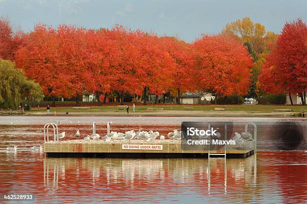 Trout Lake John Hendry Park Vancouver Stock Photo - Download Image Now - Trout Lake, Vancouver - Canada, Autumn