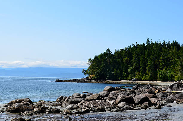 Vancouver Island East Sooke Park Shoreline East Sooke Park landscape, Vancouver Island, Canada east vancouver stock pictures, royalty-free photos & images